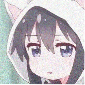 用户山里的猫的头像